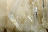 Colombian Quartz Crystal - Colombia #253267-3